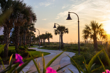 A beautiful park with palm trees, green grass and lanterns in the sun, the ocean on the horizon. Summer background. Morning tropical landscape with palm trees. Myrtle Beach, SC, USA