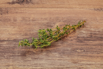 Aroma Fresh green thyme branch