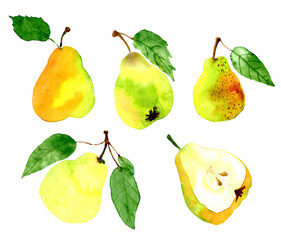 Watercolor pear set isolated on white background. Collection for print, textile, wallpaper, poster, cards - 426897554