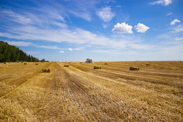 A tractor uses a trailed bale machine to collect straw in the field and make round large bales. Agricultural work, baling, baler, hay collection in the summer field. Agricultural work concept.