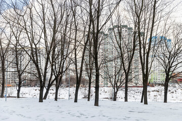 Chertanovo area. Typical block high-rise buildings on the outskirts.