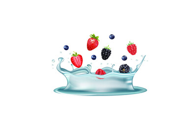 Water splash with forest fruits. vector illustration