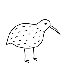 Kiwi bird. Rare Australian animal. Black and white sketch style. Cartoon illustration isolated