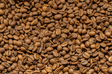 Fototapeta premium Grained Turkish coffee waiting to grind.