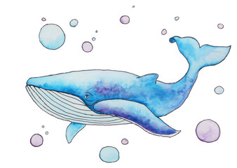 Watercolor whale 