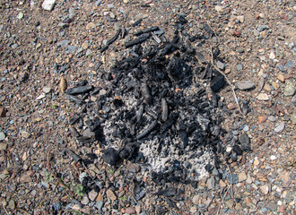 pieces of charred wood, remnants after a picnic 