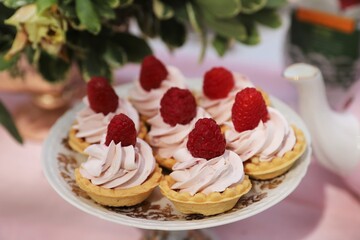close up of raspberry creamy tartlets on the plate for a party