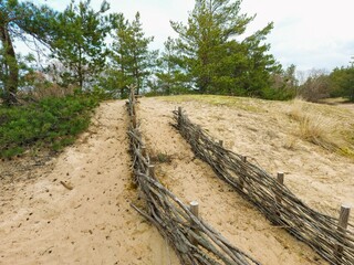 Fototapeta na wymiar The sand of the Baltic Sea dunes 
