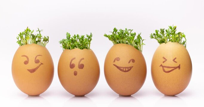 Growing Cress in Egg Shells, egg shells with faces drawn on, Eggheads With Cress Hair, Fresh sprouts