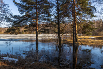 High water, the river overflows its banks. Flooding in the forest.