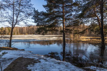 High water, the river overflows its banks. Flooding in the forest.