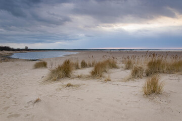 Plaża i trawy na Wyspie Sobieszewskiej © Iwona