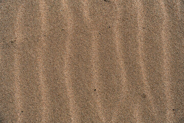 Fototapeta na wymiar texture sand. sand background. sand filling the entire frame