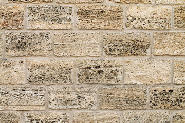 A wall built of shell rock. Brick texture.