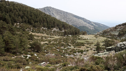 Sierra de Guadarrama