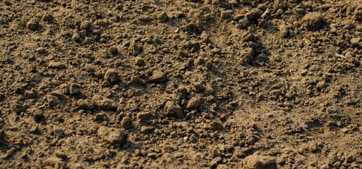 Dry loose texture of black soil. Brown earth background.