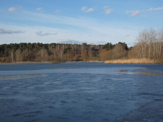 Winter landscape with frozen pond surrounded by reeds and trees, Staw Wróbla, Poland © Slawina