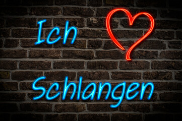 Obraz premium Schlangen