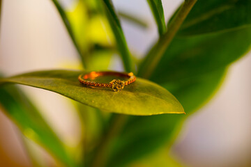 Love concept. Golden ring. 