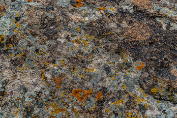 texture of rocky stones. background from rocks. stone texture