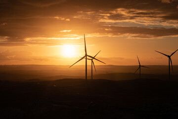 Obraz premium wind turbines at cloudy sunset