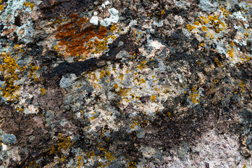 texture of rocky stones. background from rocks. stone texture