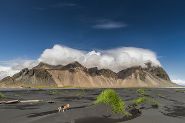 Islandia - Iceland  © jacek swiercz
