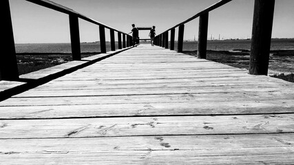 Fototapeta premium Pasarela de madera cerca del mar