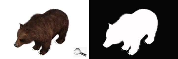Isolated brown bear with clipping path and alpha channel on a transparent image background. Image is easy to use and suitable for all types of artwork and printing. 3d rendering, 3d illustration.