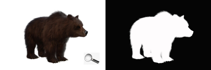 Fototapeta premium Isolated brown bear with clipping path and alpha channel on a transparent image background. Image is easy to use and suitable for all types of artwork and printing. 3d rendering, 3d illustration.