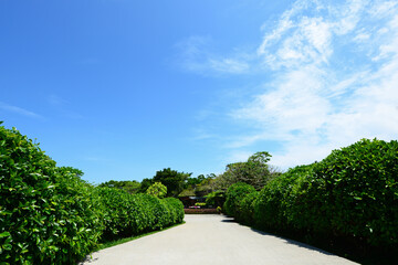 さわやかな青空と白い道
