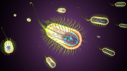 3d illustration of e coli bacteria shapes anatomy.