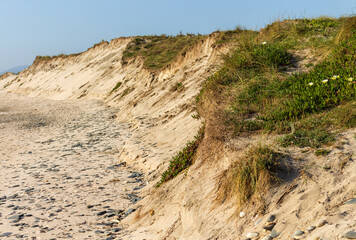 Eroded dune in Esposende, Portugal. Sand loss from a dune under wave attack.