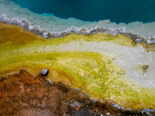 Black Pool No. 1. A detail view of the colorful algae, microbial mat, and coral like formations at the edge of of Black Pool at West Thumb Geyser Basin in Yellowstone National Park, Wyoming, USA, 2005