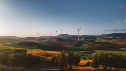 Countryside view of Ardales during sunset, south of Spain with olive trees on the foreground and wind turbines on the background © Claudio