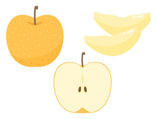 シンプルな梨のイラストのセット