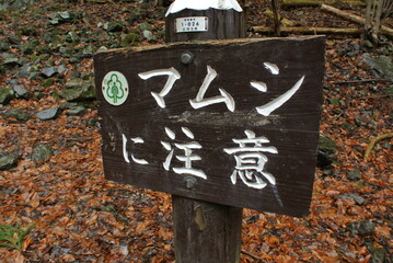 棒ノ折山の登山道、風景