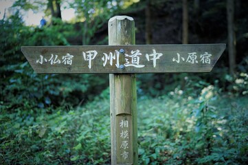 高尾山から陣馬山、登山標識