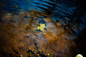 background with stars