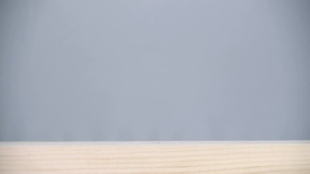 New shiny chrome hammer drives a nail into a wood plank. Macro. Closeup