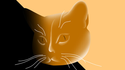 Minimal illustration of a cat face. Shadow art.  Yellow cat.  Flat cat art background. Close up cat art.
