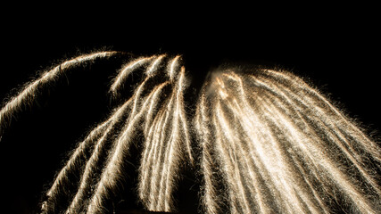 fireworks exploding in the sky during celebration at local holiday