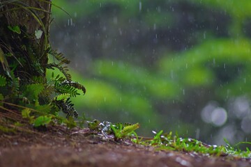 lluvia en la montaña