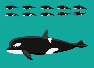 Animal Animation Orca Cartoon Vector Sequence Frame