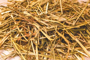 小動物の餌チモシー