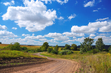 Fototapeta na wymiar Sunny summer rural landscape with dirt country road and green trees.