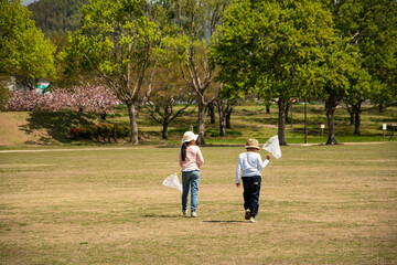 Fototapeta premium 新緑の公園で遊ぶ子供