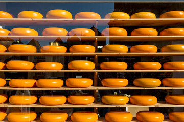Fototapeta na wymiar Famous Dutch cheese on the shelves in the store window