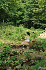夏の神戸・六甲高山植物園(8月)	