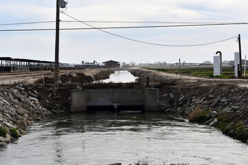 Flood plain surrounded by trees under the sunlight